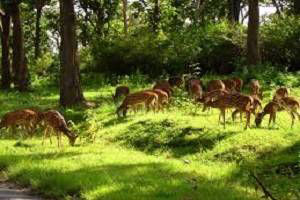 Explore Uttarakhand Tour Packages, 