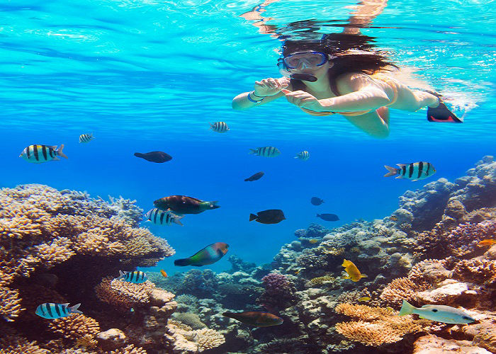Andaman Nicobar Islands Tour Packages