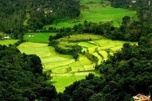 South India Honeymoon packages