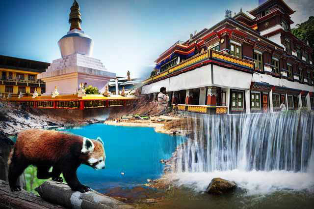Sikkim Darjeeling Tour Packages