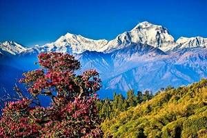 Nepal Tour, Tour Packages for Nepal, Book Hotels in Nepal, Nepal sightseeing, Dhow cruise in Nepal Creek, Desert safari in Nepal, Tour to Nepal, Nepal Honeymoon packages, Nepal holidays, Visit tourist places in Nepal, Nepal Mall, Nepal Shopping Festival,water sports in Nepal, activities in Nepal,Best deals for Nepal tour packages with Mumbaitravelguru.com, Nepal tour operators in Mumbai, Nepal tour operators in Cochin.Cheap flights to Kathmandu, Kathmandu sightseeing, Places to see in Kathmandu,Book hotels in Kathmandu