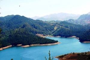 Ooty Sightseeing, Book Hotels in Ooty, Tour Packages for Ooty, Rent a Car in Ooty, Places to see in Ooty, Best Time to Visit Ooty