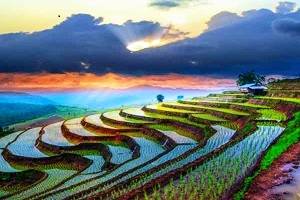 South India Sightseeing, Book Hotels in South India, Tour Packages for South India, Rent a Car in South India, Places to see in South India, Best Time to Visit South India